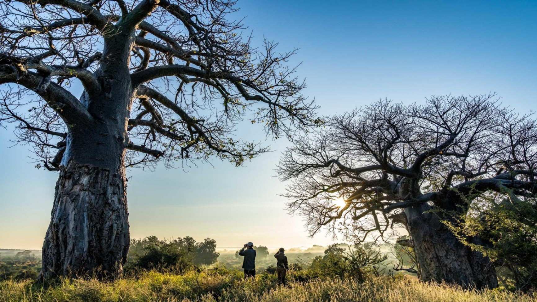 RETURN Africa Baobab Hill House Landscape