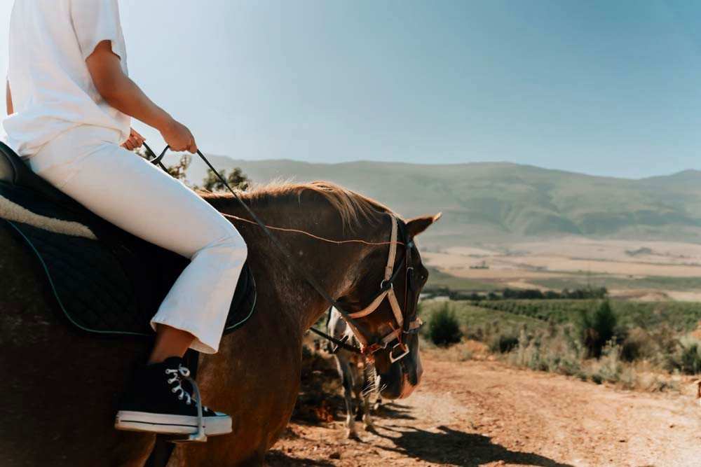 Vrolikheid Landgoed Horse Riding