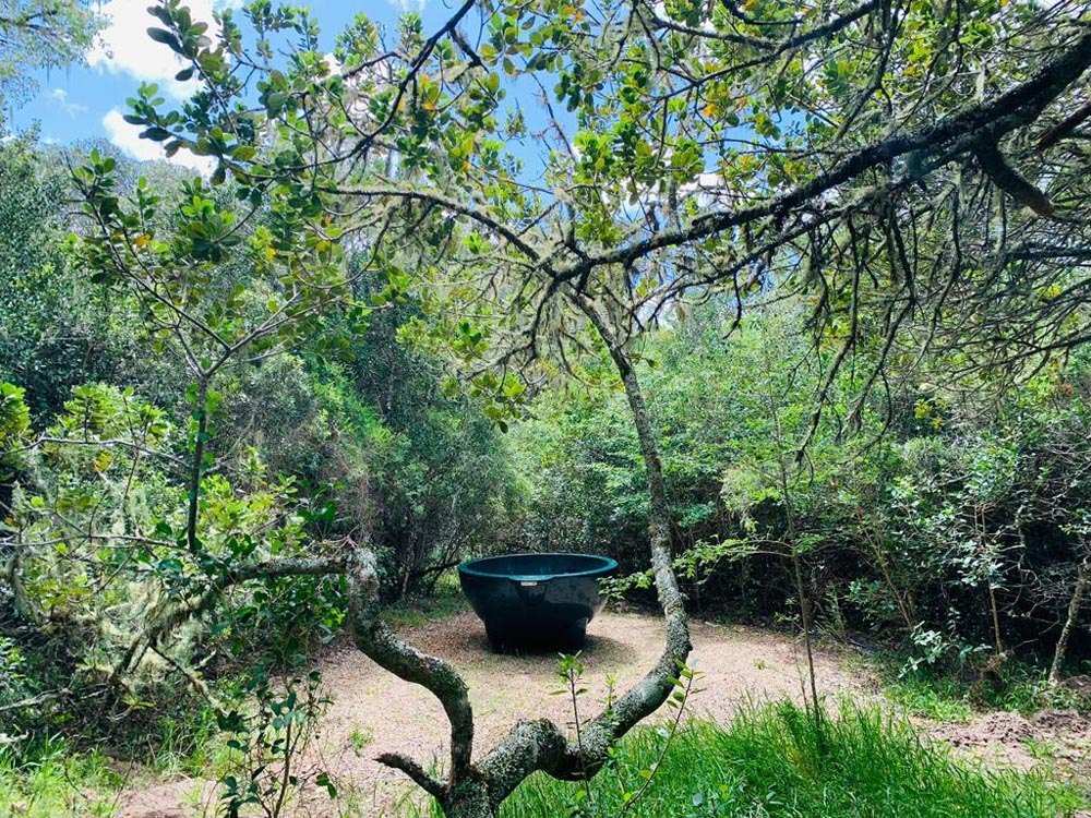 Platbos Forest Hot Tub