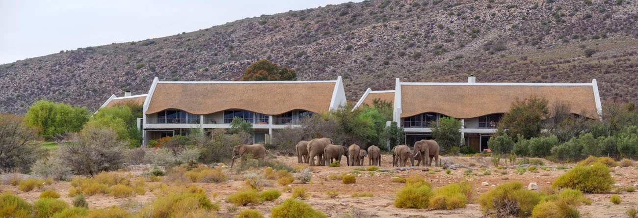 Gondwana Family Lodge at Sanbona Wildlife Reserve Accommodation