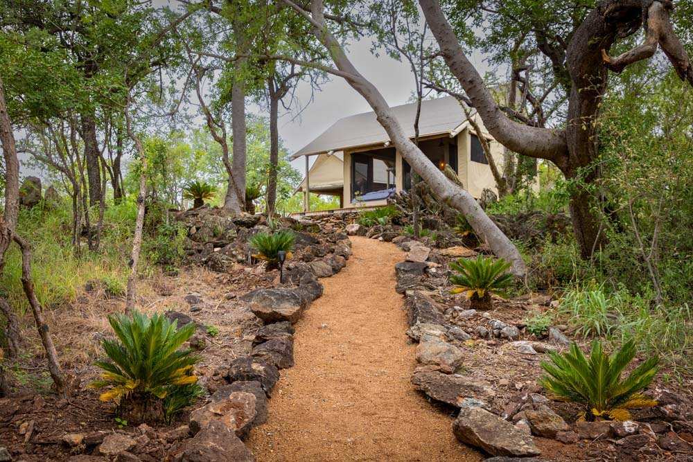 Bushveld Bivouac Walkways